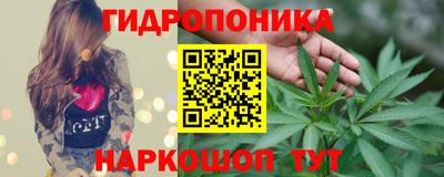 МДПВ Краснознаменск